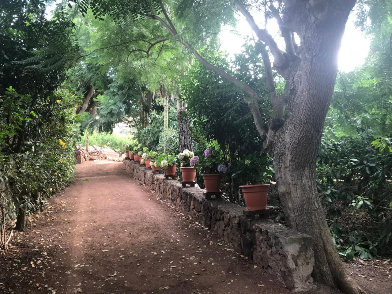 Casa di campagna El Vergel Rural Tegueste